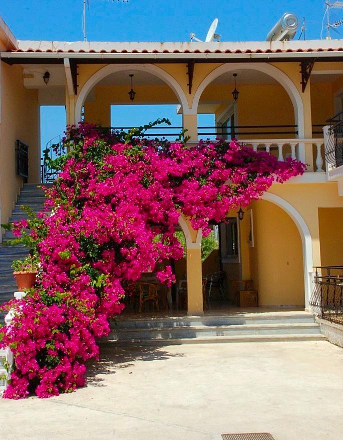Zante 523 Aparthotel Laganas Buitenkant foto